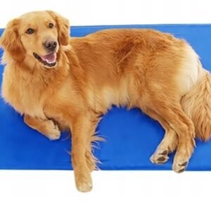 Żelowa Mata Chłodząca Dla Zwierząt 70x110 cm